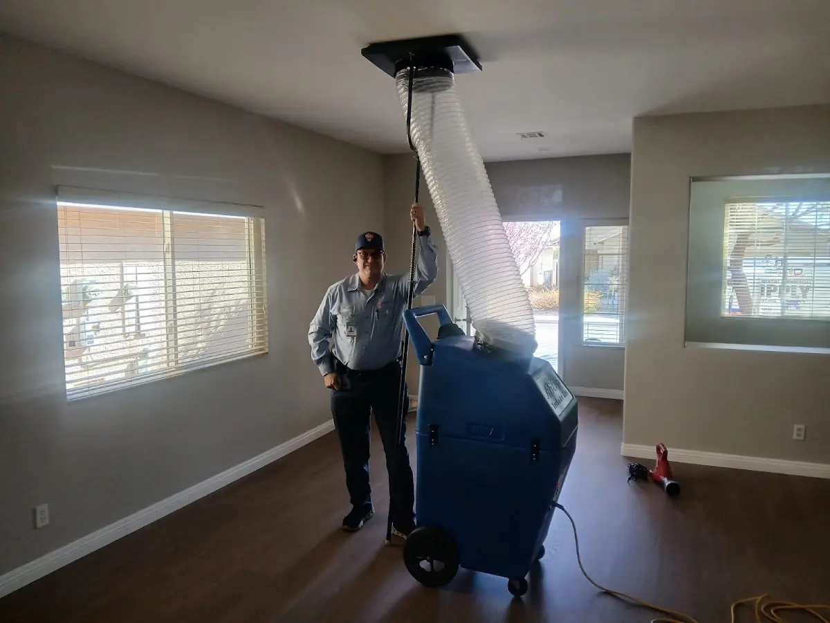 Professional Dryer Vent Cleaning work inside a White House home